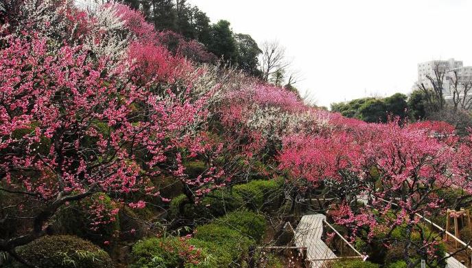 【西馬込テラスコートの公園】