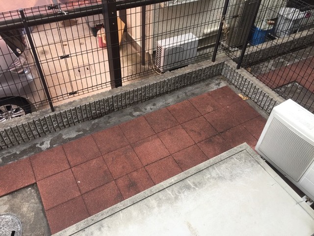 庭