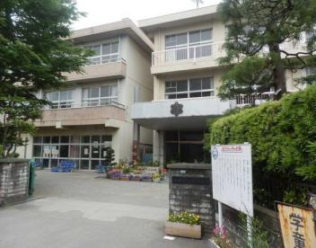 小学校　小田原市立芦子小学校（小学校）まで813m