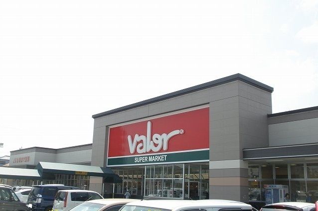 ショッピングセンター　バロー豊川店（ショッピングセンター）まで350m