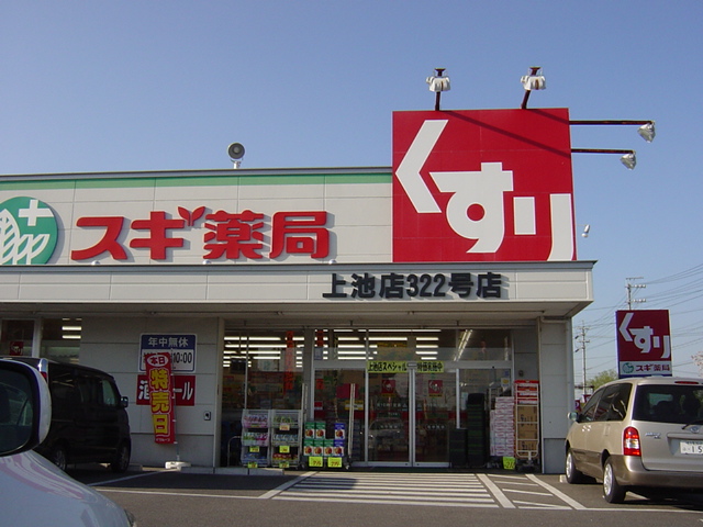 その他　スギ薬局上池店まで339ｍ