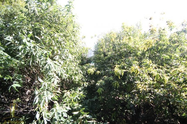 眺望　プレサンス京町堀