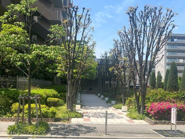 エントランス　エントランス