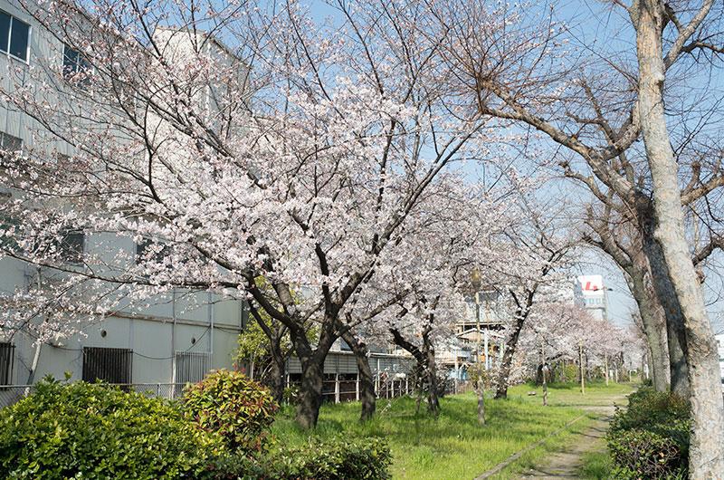 公園　佃 ふれあい公園（公園）まで104m