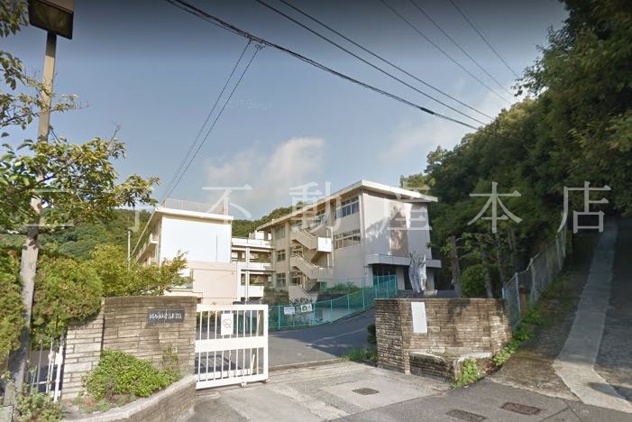 小学校　岡山市立津島小学校（小学校）まで799m