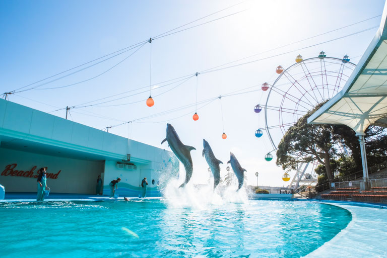 その他　南知多ビーチランド（その他）まで1122m