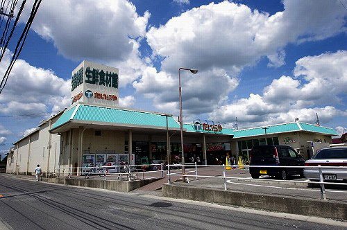 スーパー　エコス たいらや 平松店（スーパー）まで244m