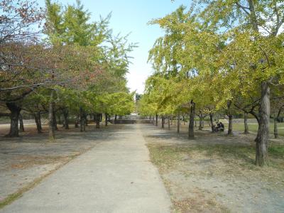 公園　☆平和公園（公園）まで710m