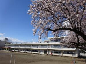 小学校　奥州市立水沢南小学校（小学校）まで1521m