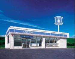 コンビニ　ローソン奥州水沢南大鐘店（コンビニ）まで498m