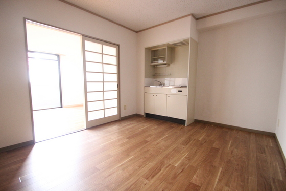 居室・リビング　※別部屋の写真です