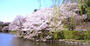 公園　県立 三ツ池公園（公園）まで1646m