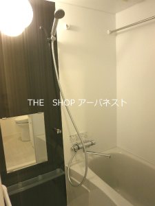AZEST ITABASHIIIの風呂写真