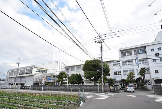 中学校　雄新中学校（中学校）まで529m