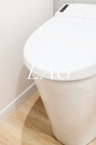 トイレ　トイレです。（同一仕様）