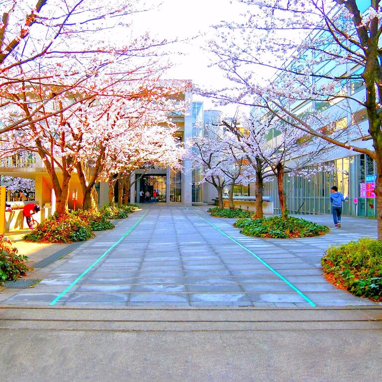 東急大井町線 尾山台駅 徒歩10分 2階建 築35年の周辺写真