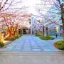 大学・短大　東京都市大学世田谷キャンパス（大学・短大）まで310m
