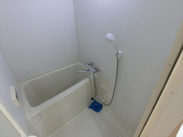 Cassia Kawasaki Residenceの風呂写真