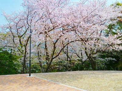 【ウィングス西神原の公園】