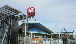 ホームセンター　コメリハード＆グリーン田上店（ホームセンター）まで710m