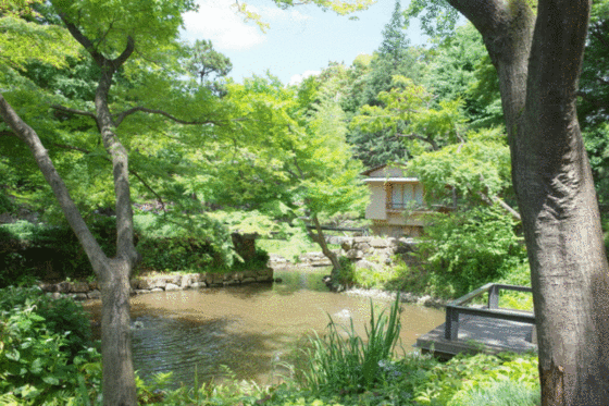 公園　向山ヶ谷戸緑地（公園）まで628m