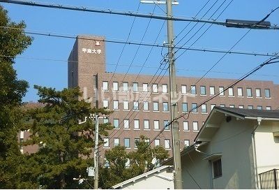 大学・短大　私立甲南大学岡本キャンパス様（大学・短大）まで689m