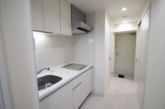 玄関　※他号室の写真です