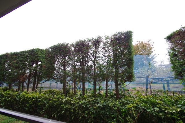 眺望　★お部屋探しはタウンハウジング稲田堤店まで★