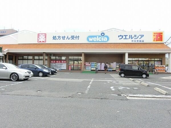 ドラックストア　ウエルシア堺長曽根店（ドラッグストア）まで605m