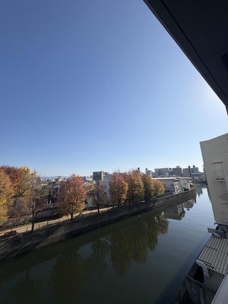 ＪＲ大阪環状線 大阪城公園駅 徒歩19分 13階建 築8年の内装写真