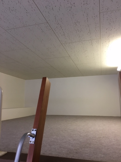 その他部屋・スペース　ロフトで寝るも良し！物を置くのも良し！