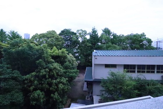 眺望　※別号室の写真です。