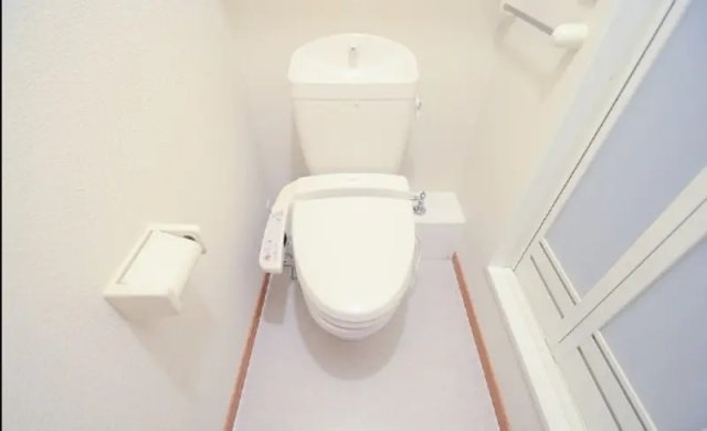 トイレ　同物件、別号室のものです。