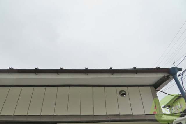 眺望　隣の建物が低いので、天気が良い日は陽光が良くは入りそうです！
