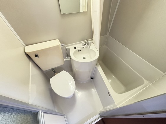 バス・シャワールーム　※別号室のお写真となります※現況優先