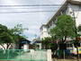 小学校　広島市立原南小学校（小学校）まで556m