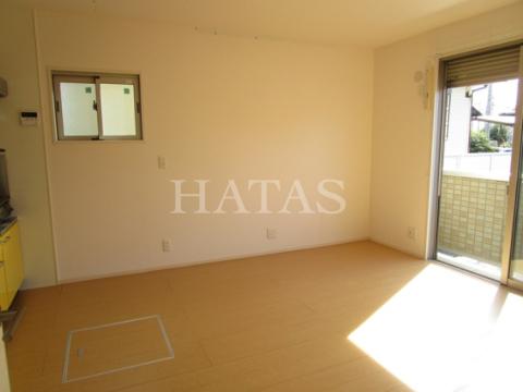 居室・リビング　同物件別部屋です