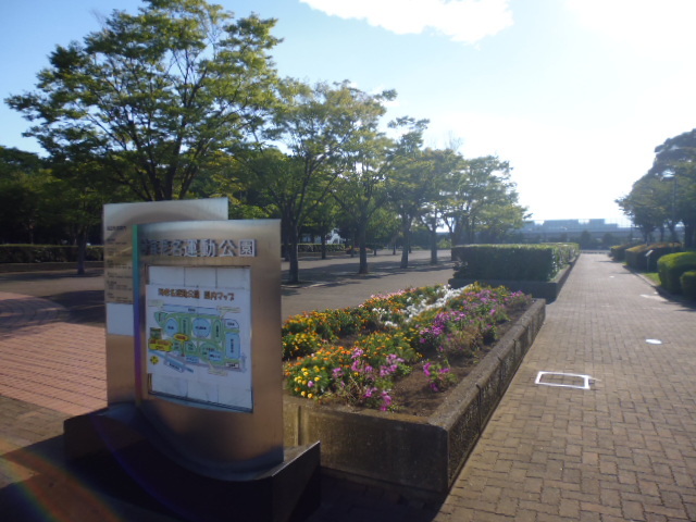 公園　海老名運動公園（公園）まで800m