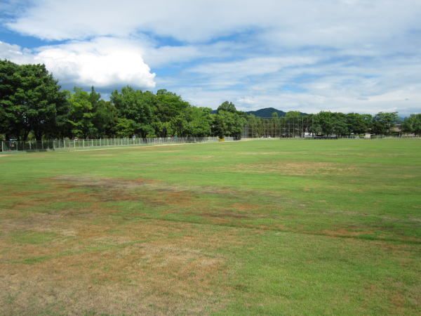 公園　丸山公園（公園）まで190m