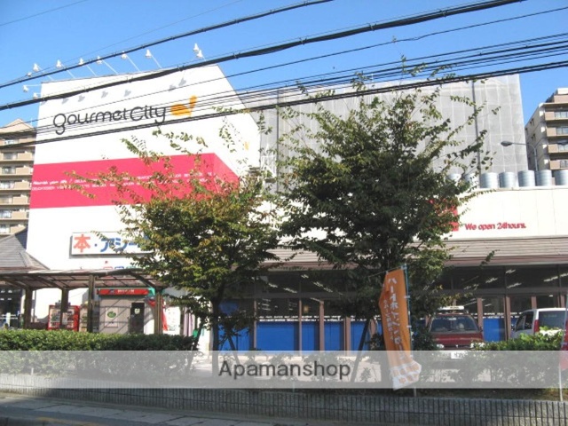 スーパー　グルメシティ近畿八尾店（スーパー）まで647m