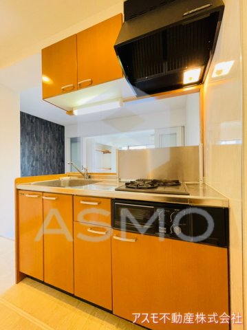 キッチン　同マンション別部屋参考写真