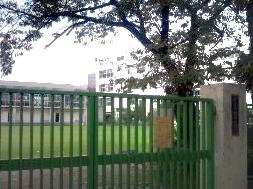 小学校　大田区立新宿小学校（小学校）まで244m