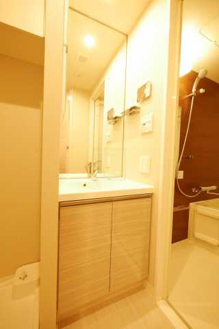 洗面設備　ベルファース大塚の洗面所