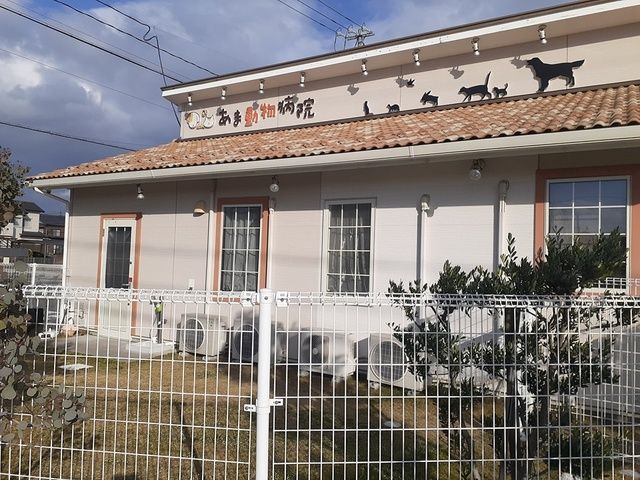 その他　あま動物病院（その他）まで620m