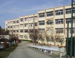 中学校　神戸市立桜の宮中学校（中学校）まで1234m