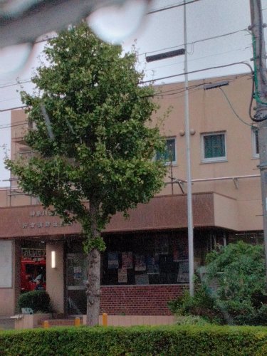 その他　片倉消防出張所（その他）まで1773m