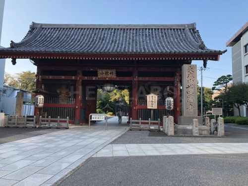 その他　護国寺（その他）まで281m