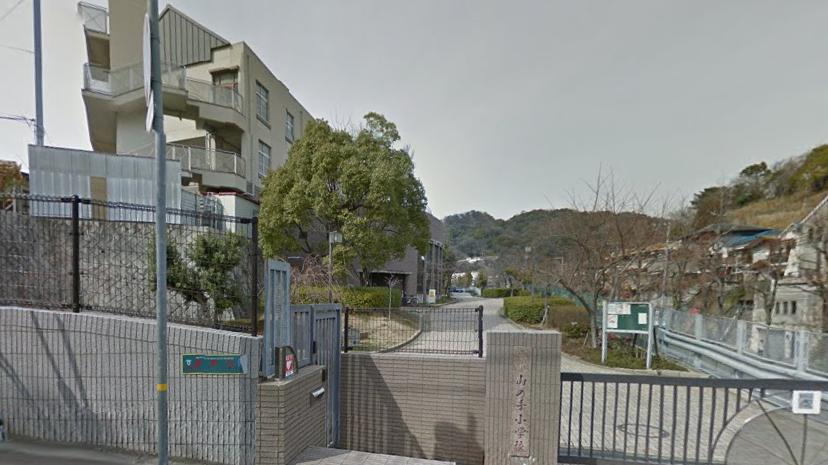 小学校　神戸市立山の手小学校（小学校）まで852m