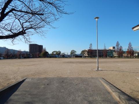 その他　新涯四丁目公園運動場（その他）まで483m