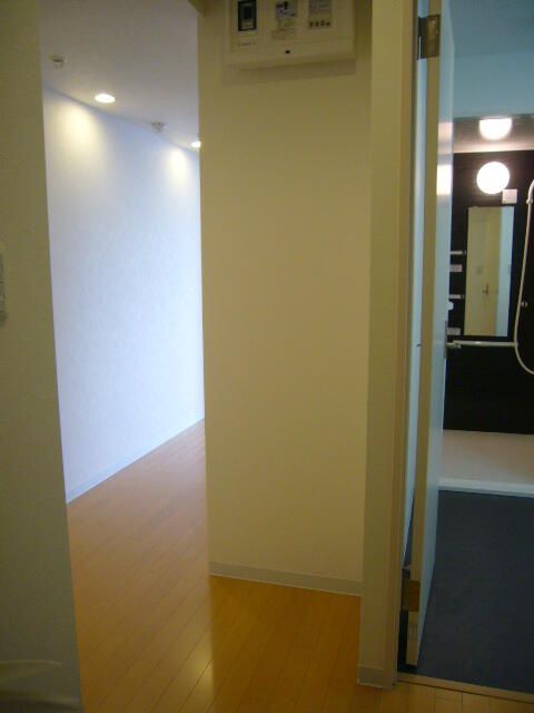 玄関　室内写真は同タイプ他部屋になります。